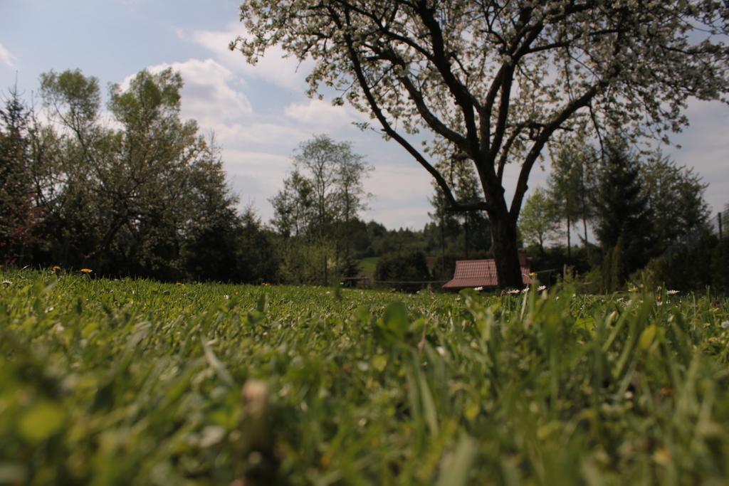 Uroczysko Villa Lesko Eksteriør bilde